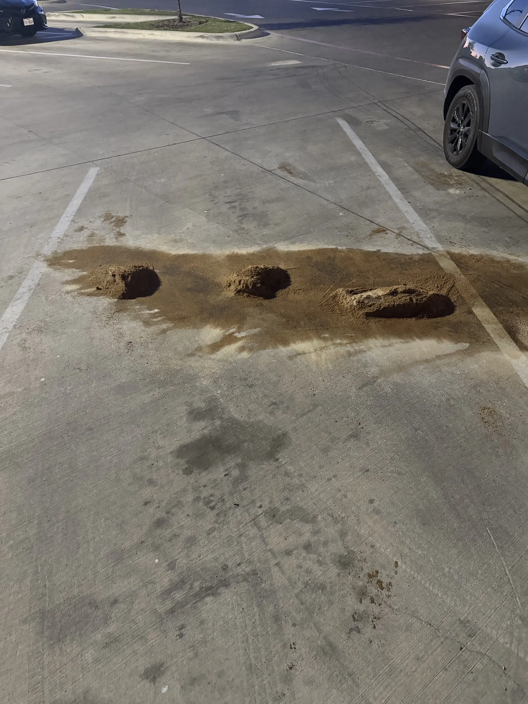 Mounds of swept-up granular absorbent sitting on the marked parking spaces, with the dark oil stain visible around them