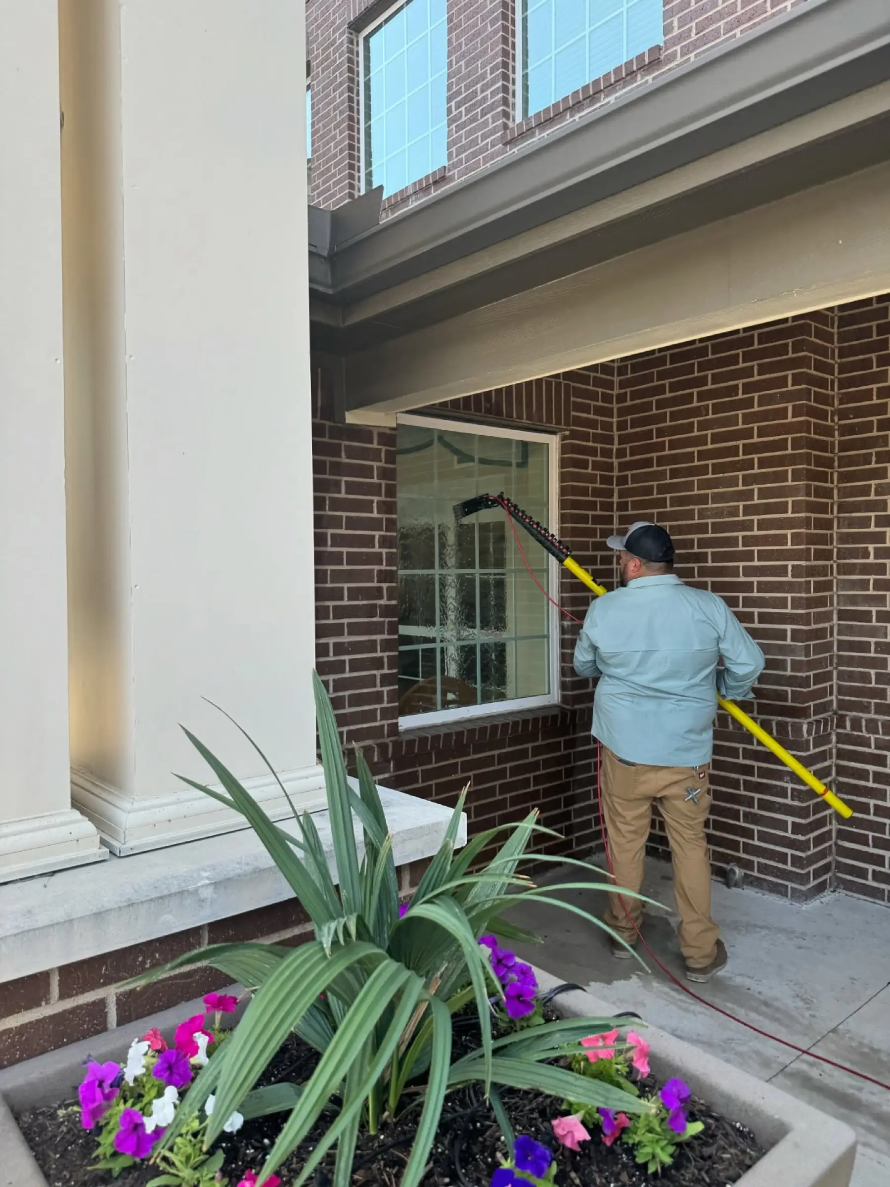 A Live Oak technician cleaning a ground-floor window with a water-fed pole, working from the ground beside a planted bed